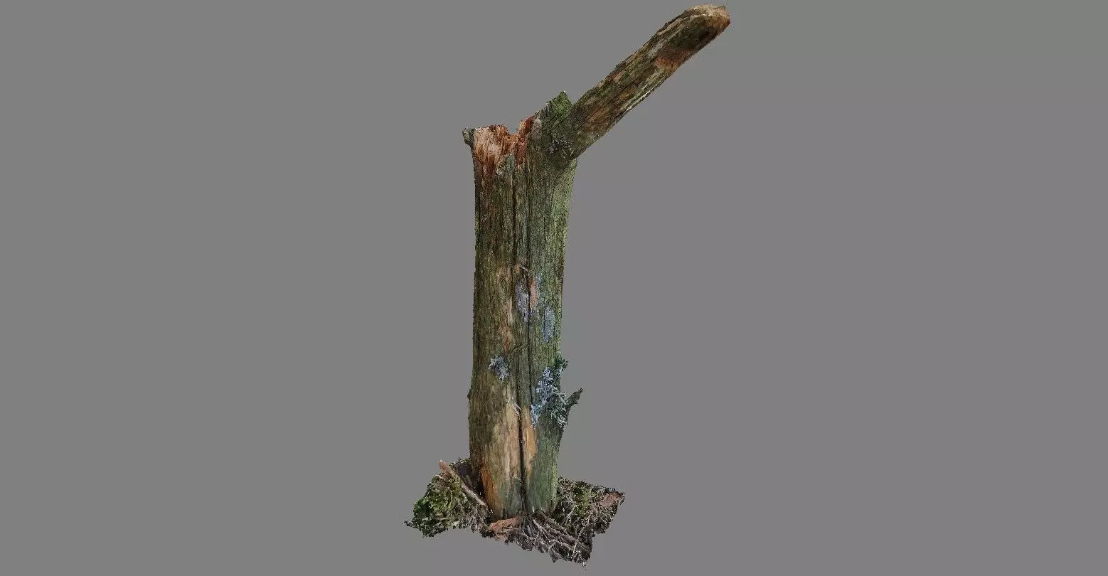 Stick - photogrammetry Free 3D model