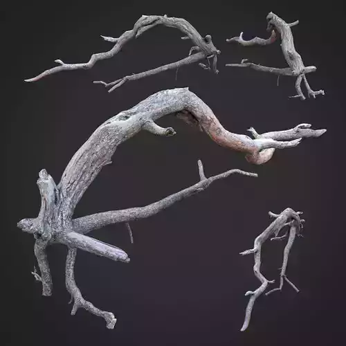 Dead tree 3d scan - SNA0003