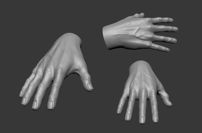Male Hand 3D model