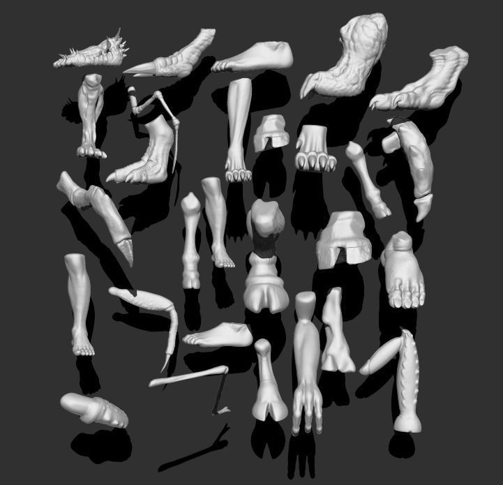 IMM Feets V3 3D model_1