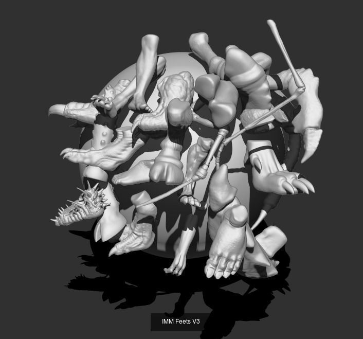 IMM Arms and Feet Bundle 3D Model Collection_1
