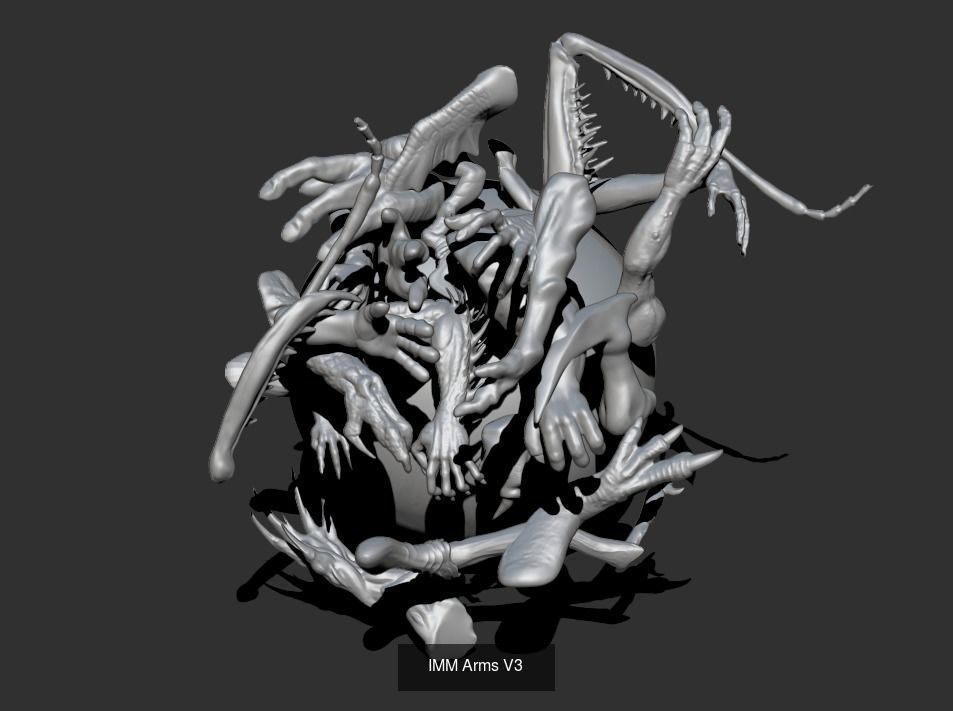 IMM Arms and Feet Bundle 3D Model Collection_2