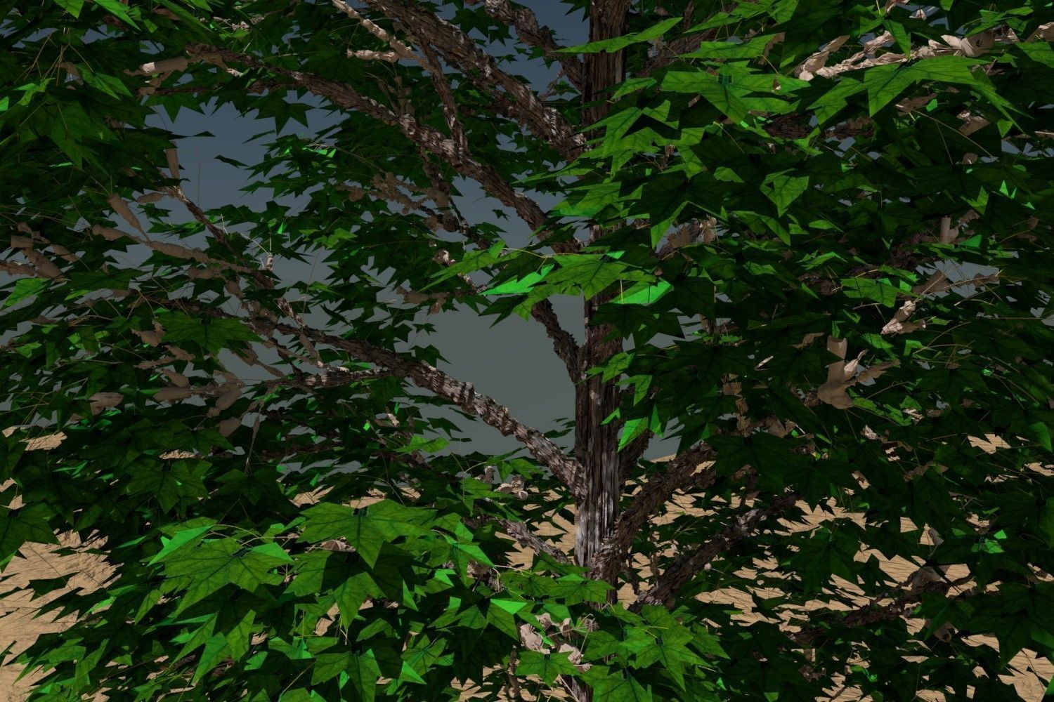 Arbol tipo ficus 3D model_1