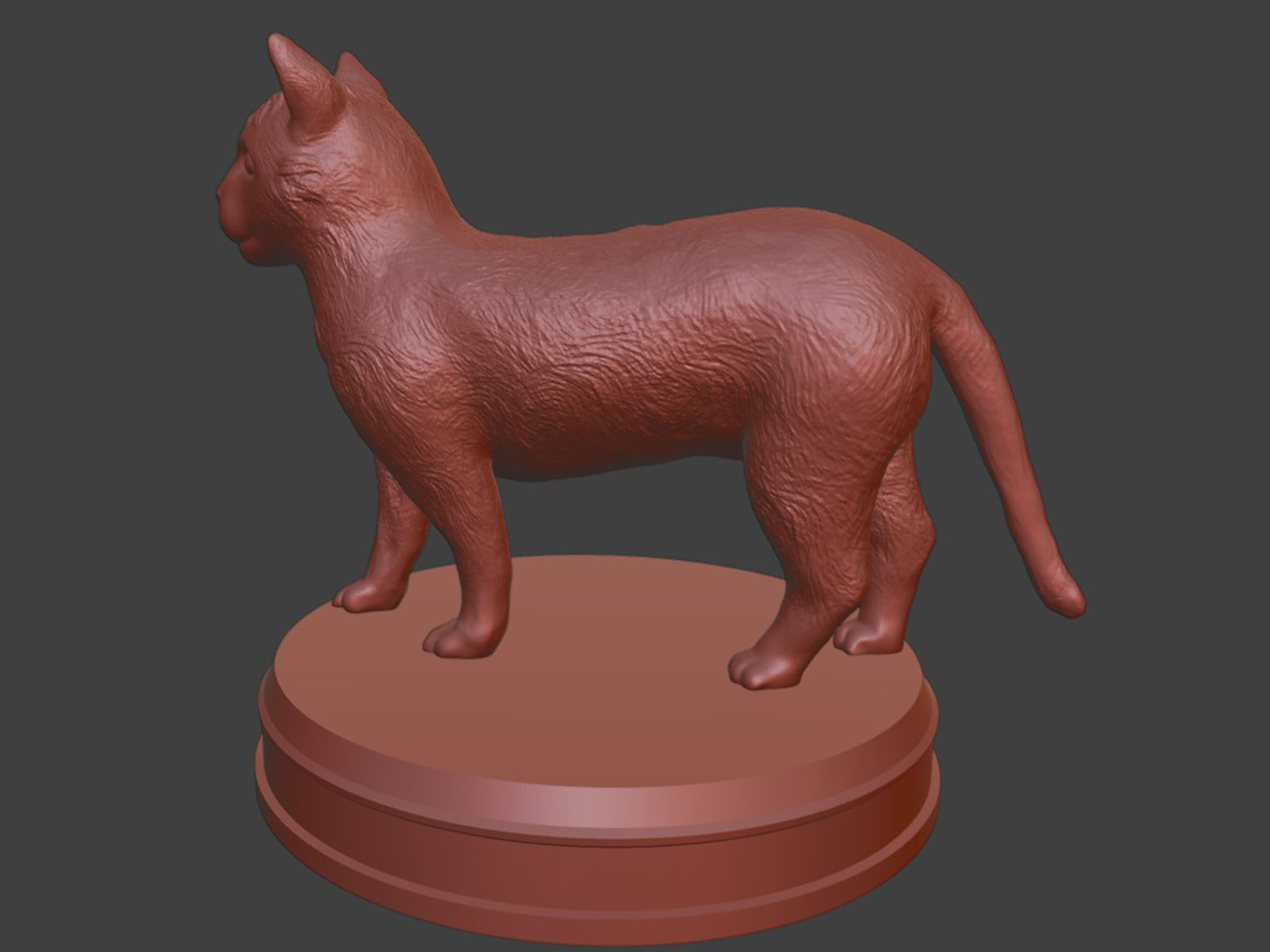 Silver Cat 3D print model_9