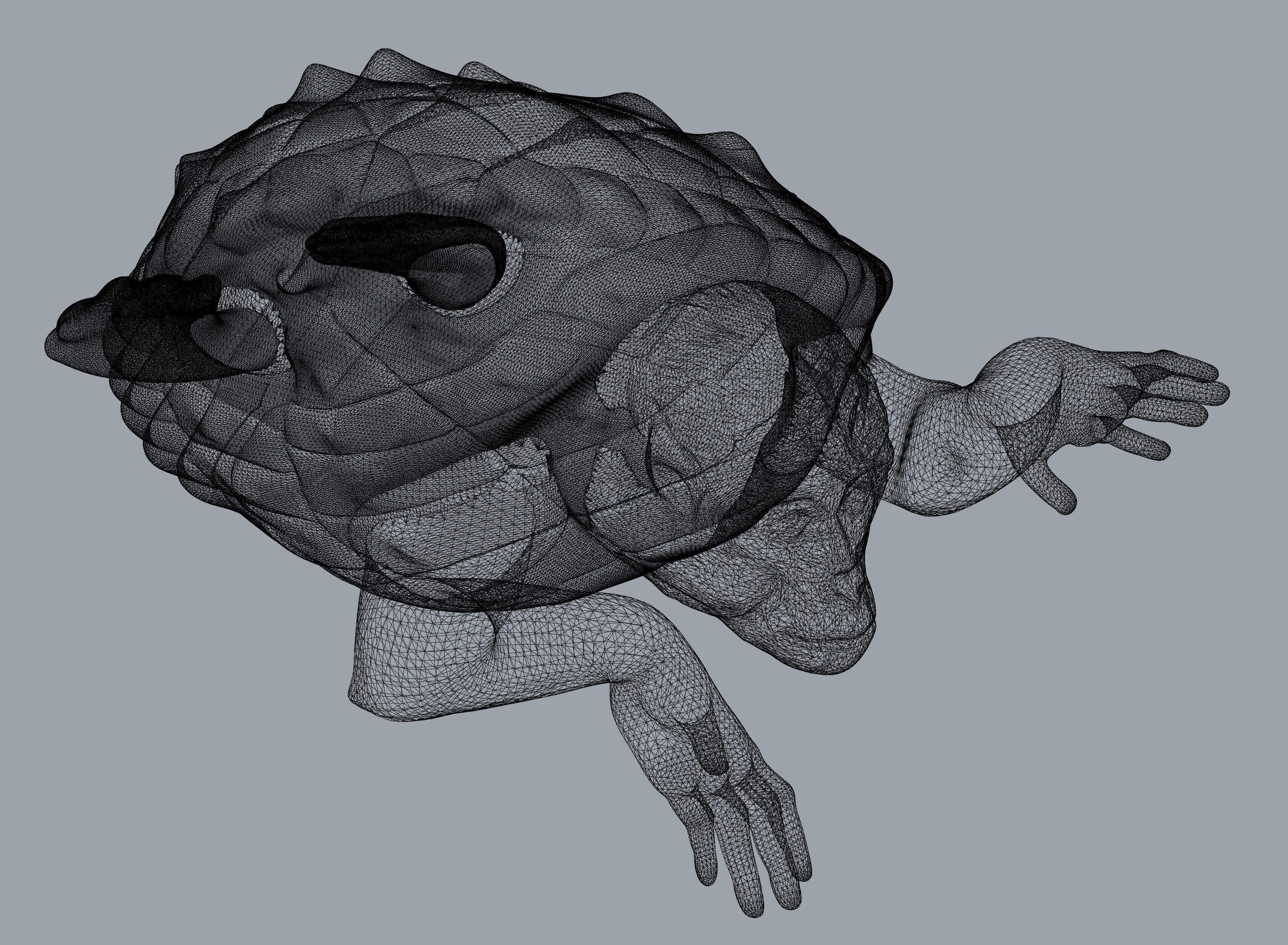 3D Printable Mutant Turtle Monkey 3D print model_7