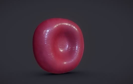 Normal Red blood Cell Low-poly 3D model