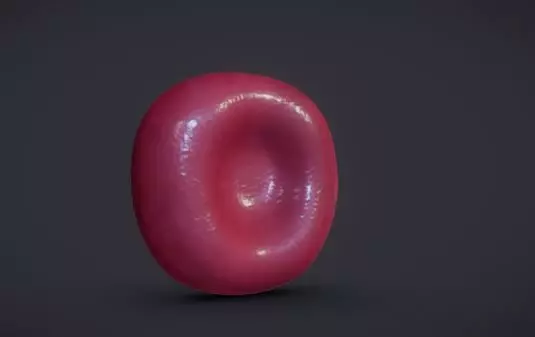Normal Red blood Cell Low-poly 3D model_0