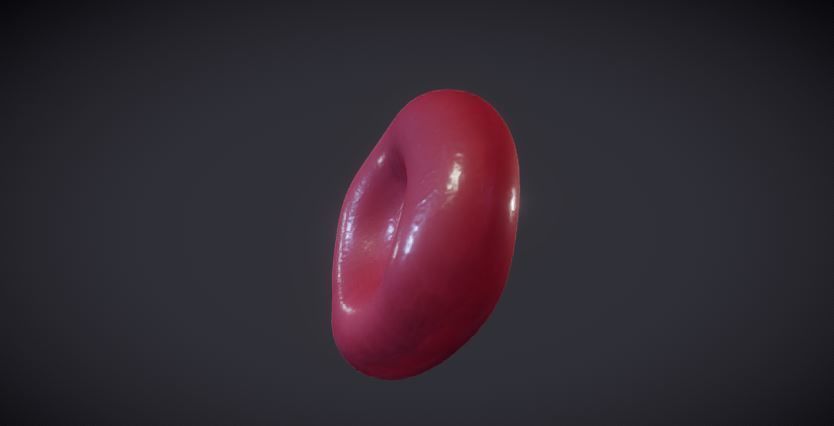 Normal Red blood Cell Low-poly 3D model_1