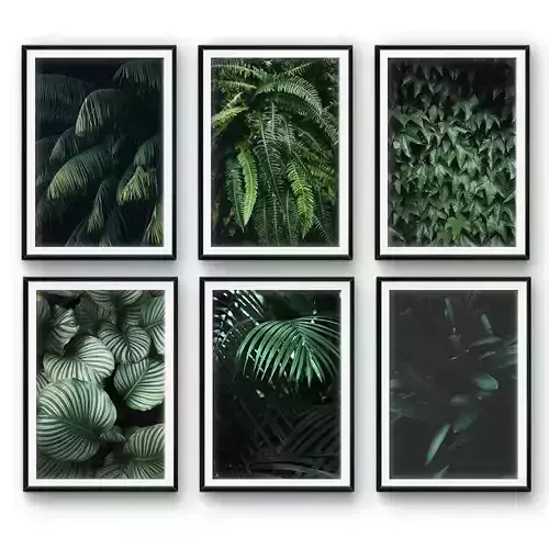 Tropical leaves