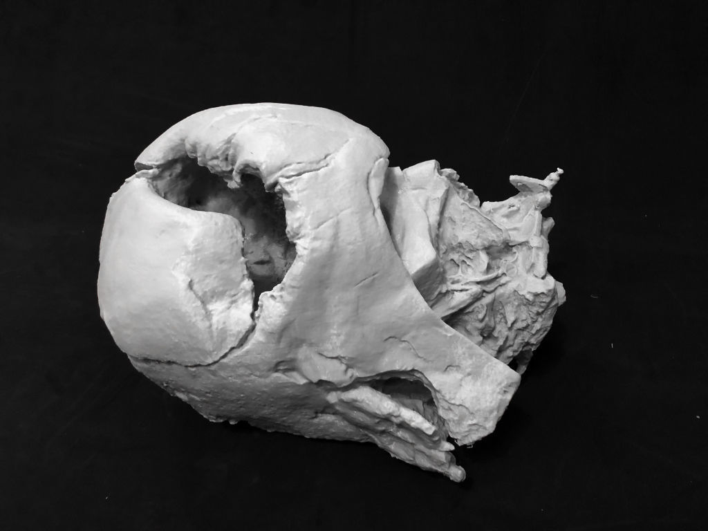Melted Darth Vader Helmet - Star Wars Skull 3D Print model  3D print model_12