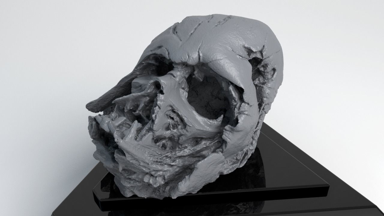 Melted Darth Vader Helmet - Star Wars Skull 3D Print model  3D print model_5