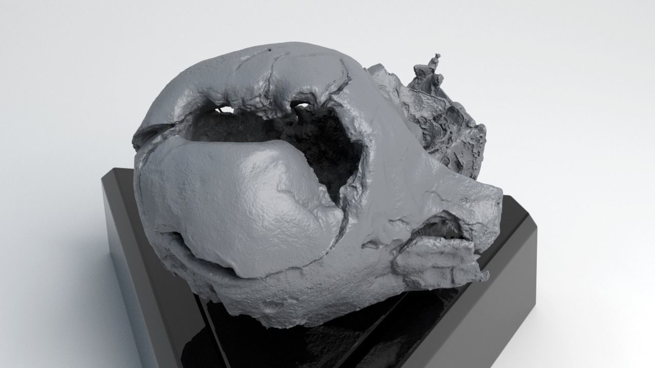 Melted Darth Vader Helmet - Star Wars Skull 3D Print model  3D print model_8