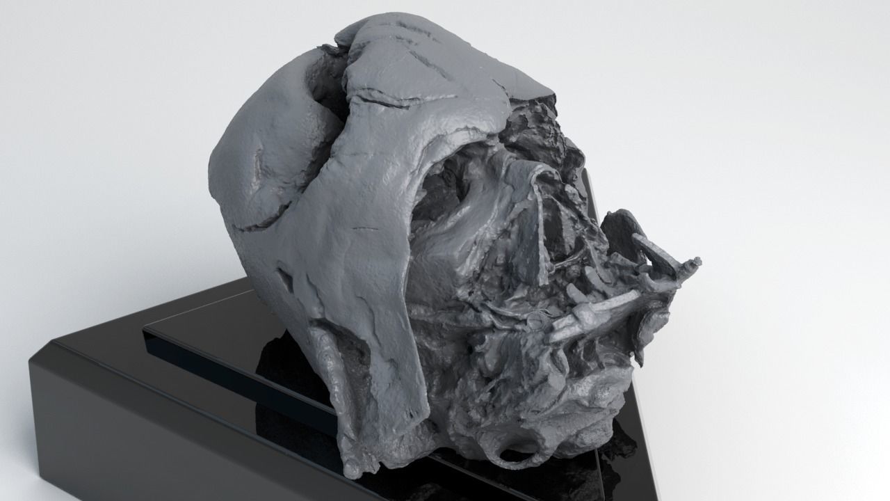 Melted Darth Vader Helmet - Star Wars Skull 3D Print model  3D print model_9