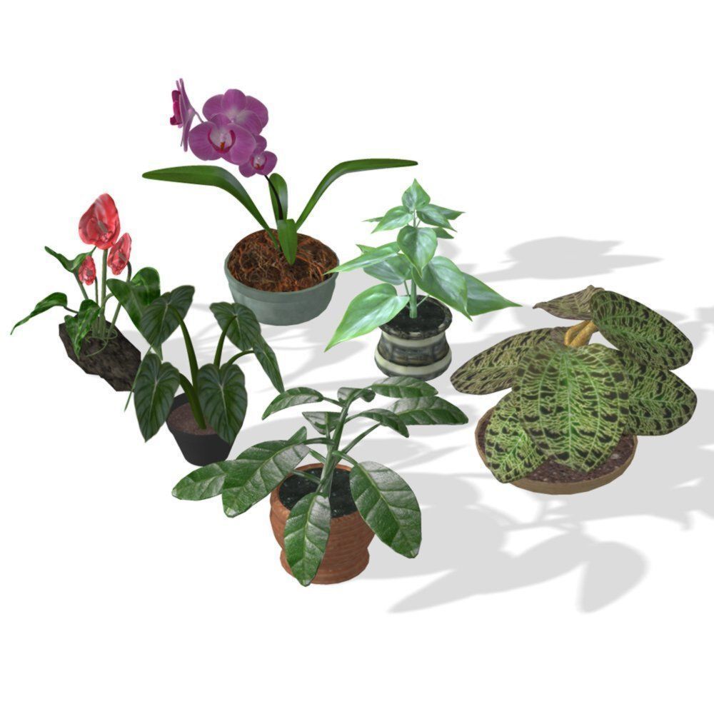 Plants Set 1 group of potted 3D model_7