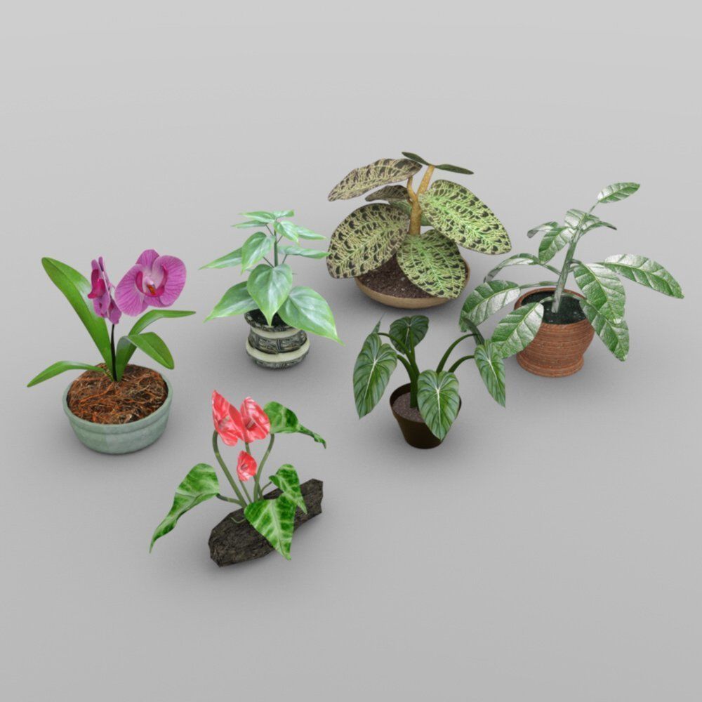 Plants Set 1 group of potted 3D model_1