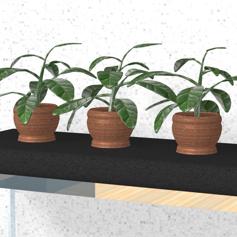 Plants Set 1 group of potted 3D model_11