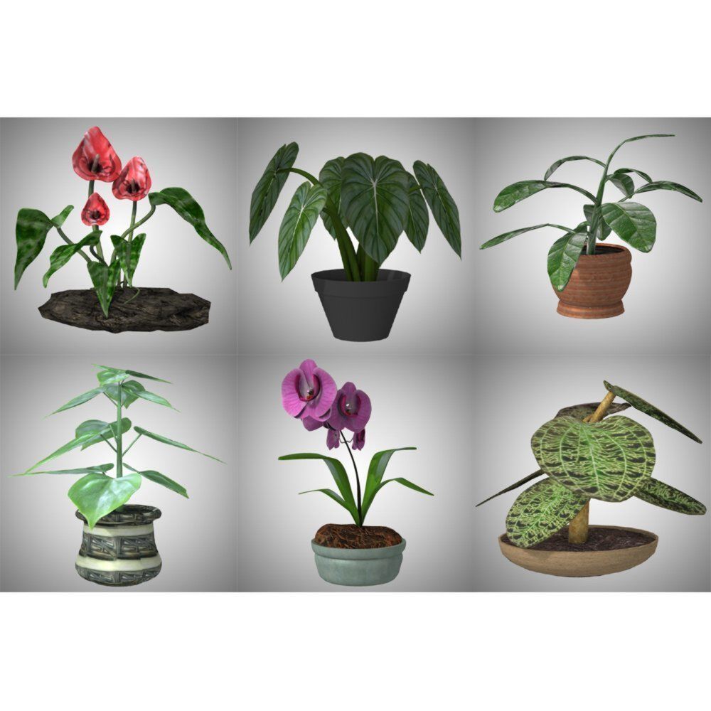 Plants Set 1 group of potted 3D model_13