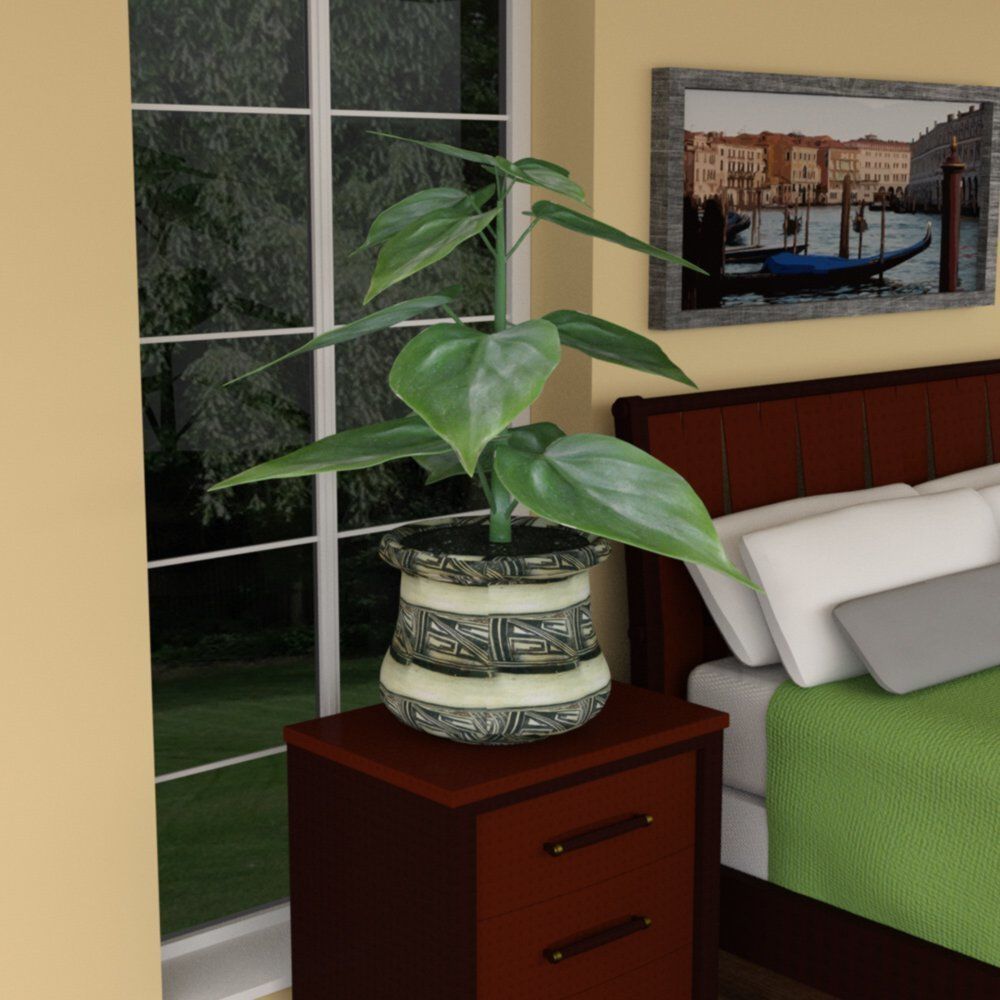 Plants Set 1 group of potted 3D model_5