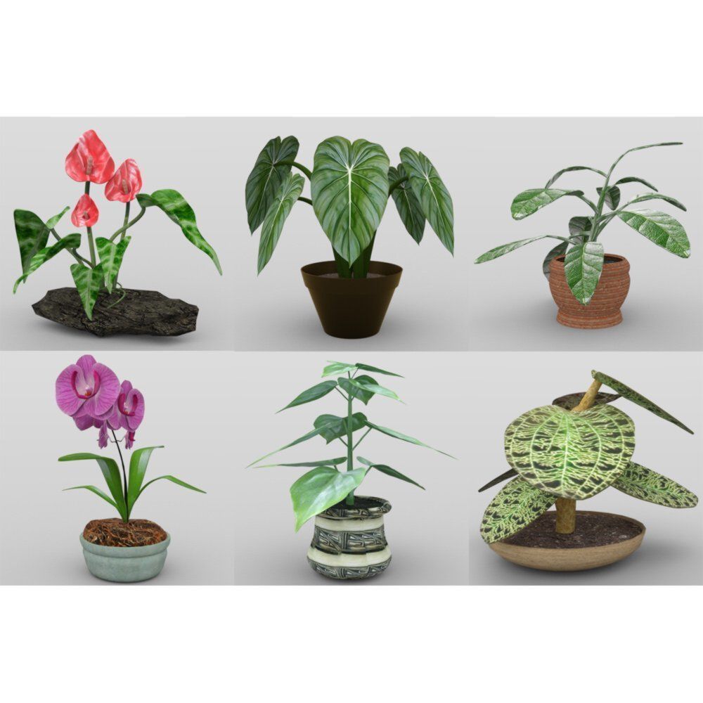 Plants Set 1 group of potted 3D model_6