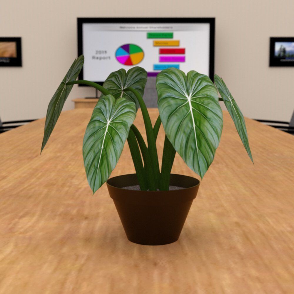 Plants Set 1 group of potted 3D model_2