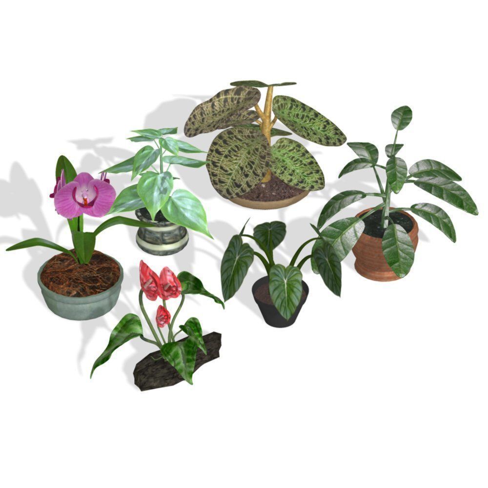 Plants Set 1 group of potted 3D model_8