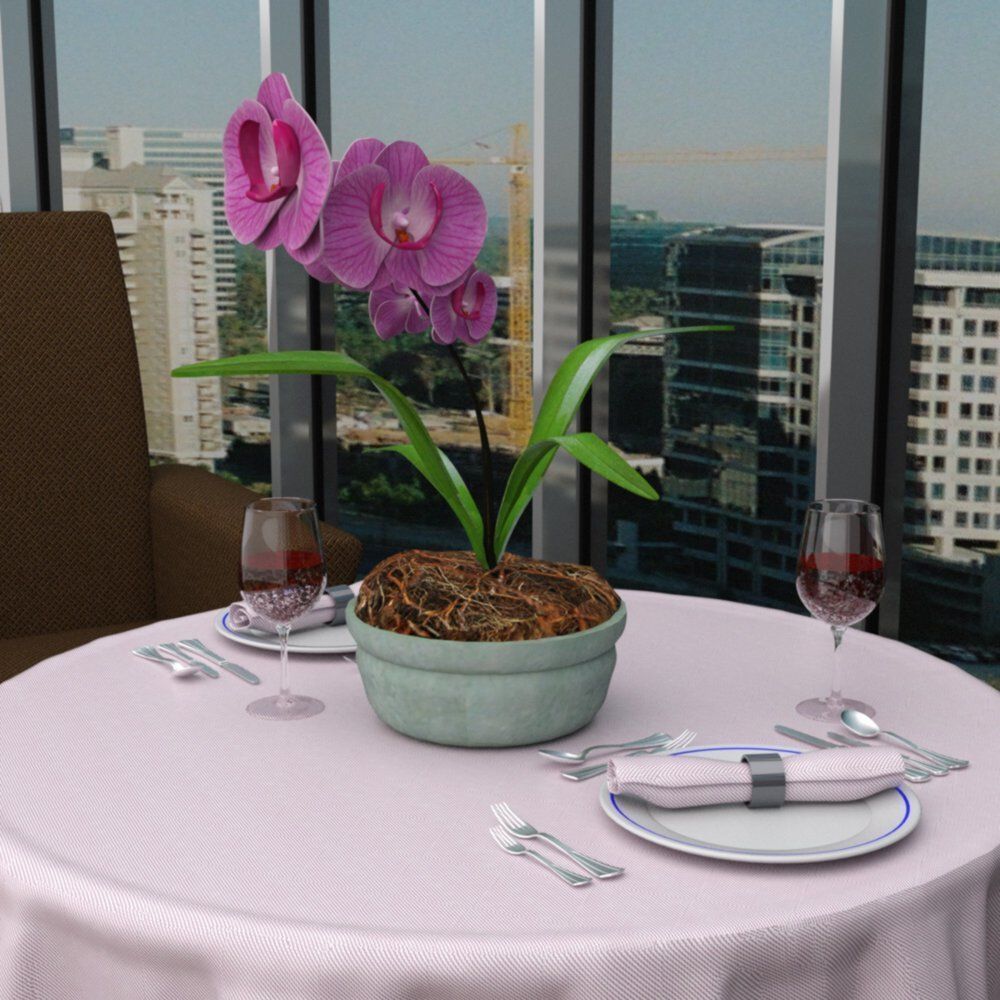 Plants Set 1 group of potted 3D model_3