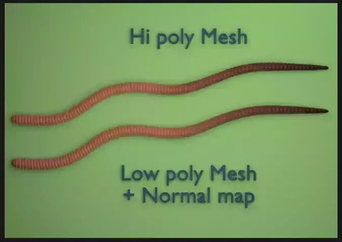 Worm - lombric Free low-poly 3D model