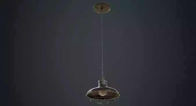 Hanging Lamp 1C