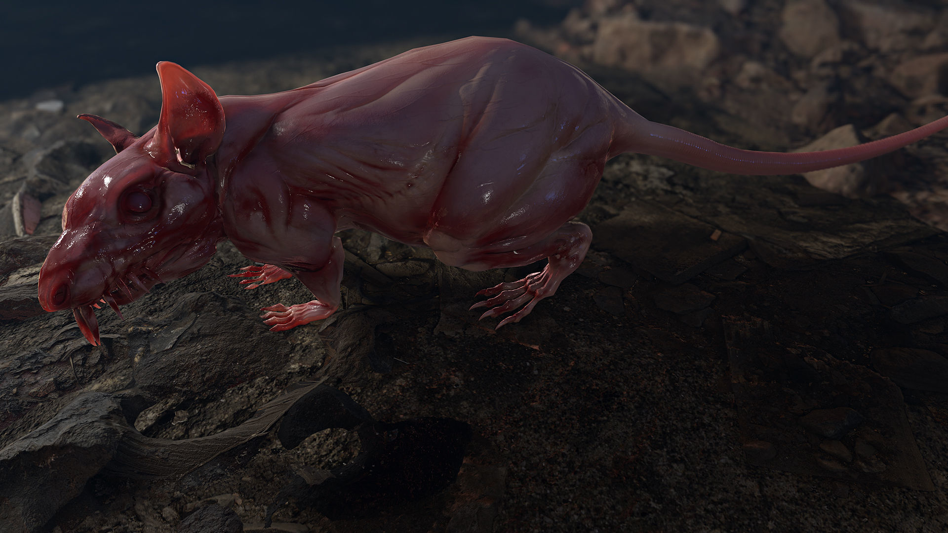 Mutant Rat Low-poly 3D model_9