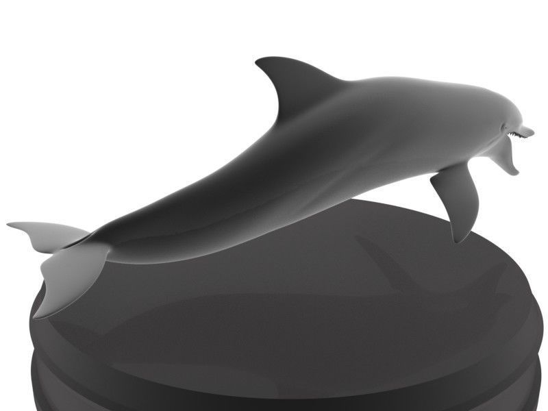 Dolphin Printable 3D print model_4