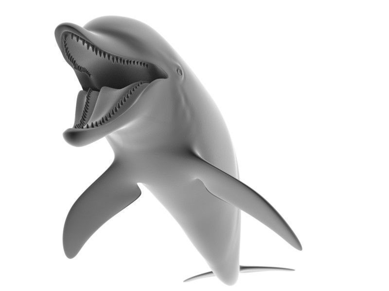 Dolphin Printable 3D print model_6