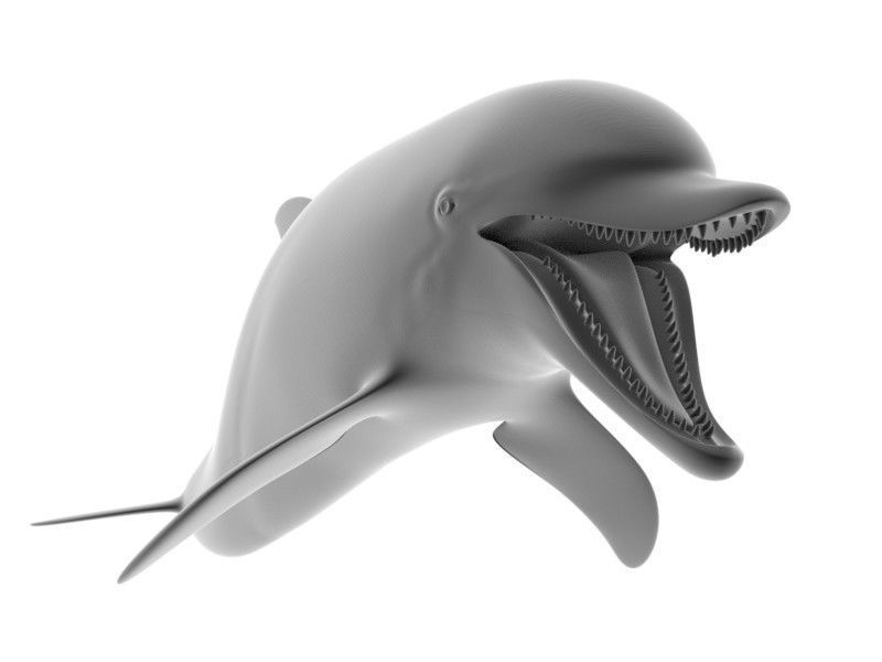 Dolphin Printable 3D print model_5