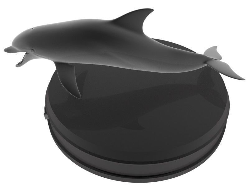 Dolphin Printable 3D print model_1