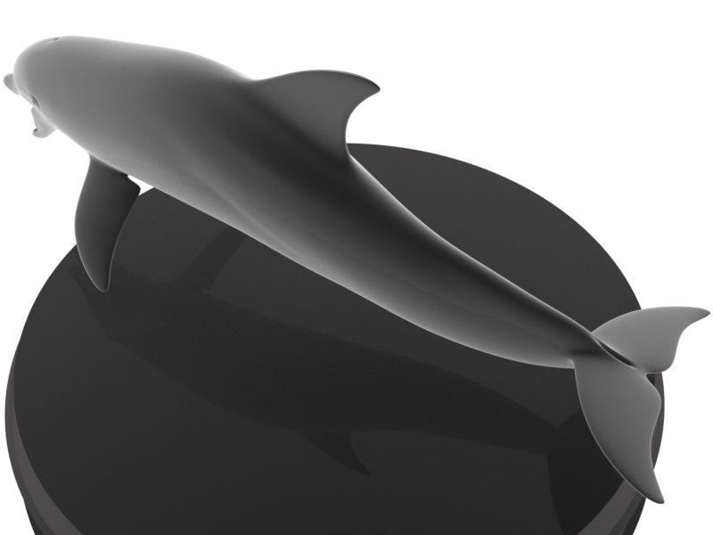 Dolphin Printable 3D print model_3