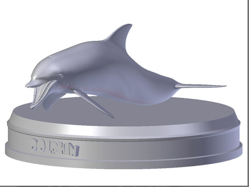 Dolphin Printable 3D print model_11