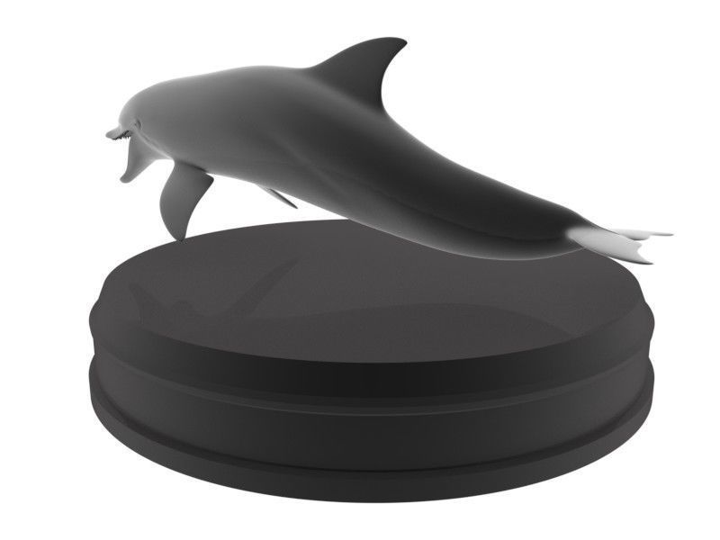 Dolphin Printable 3D print model_2