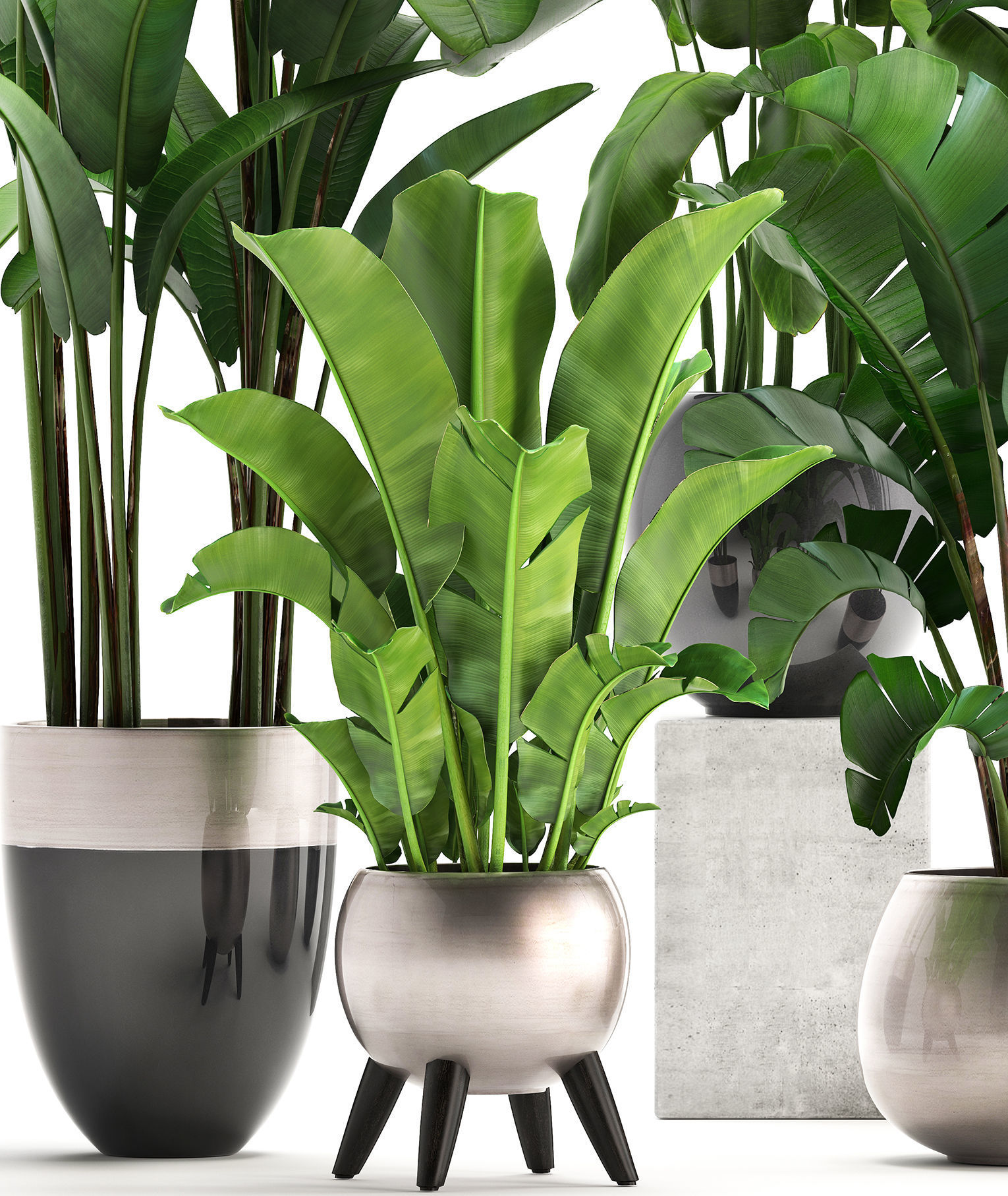 Exotic plants banana tree set 3D model_3