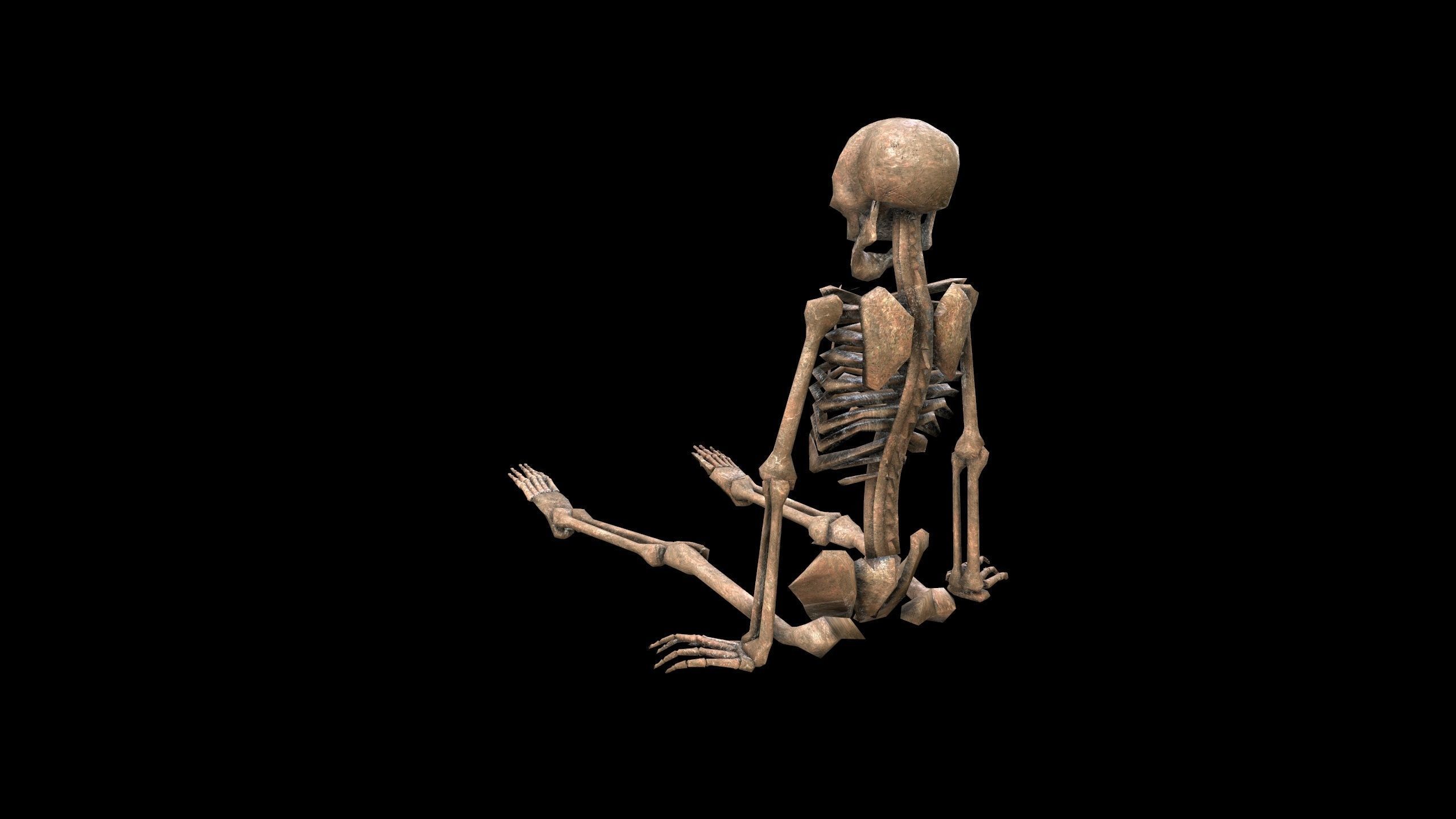 Dead Skeleton - 3 - PBR - Textured Low-poly 3D model_5