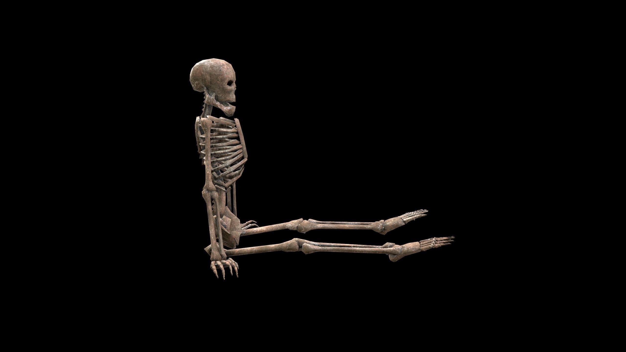 Dead Skeleton - 3 - PBR - Textured Low-poly 3D model_3