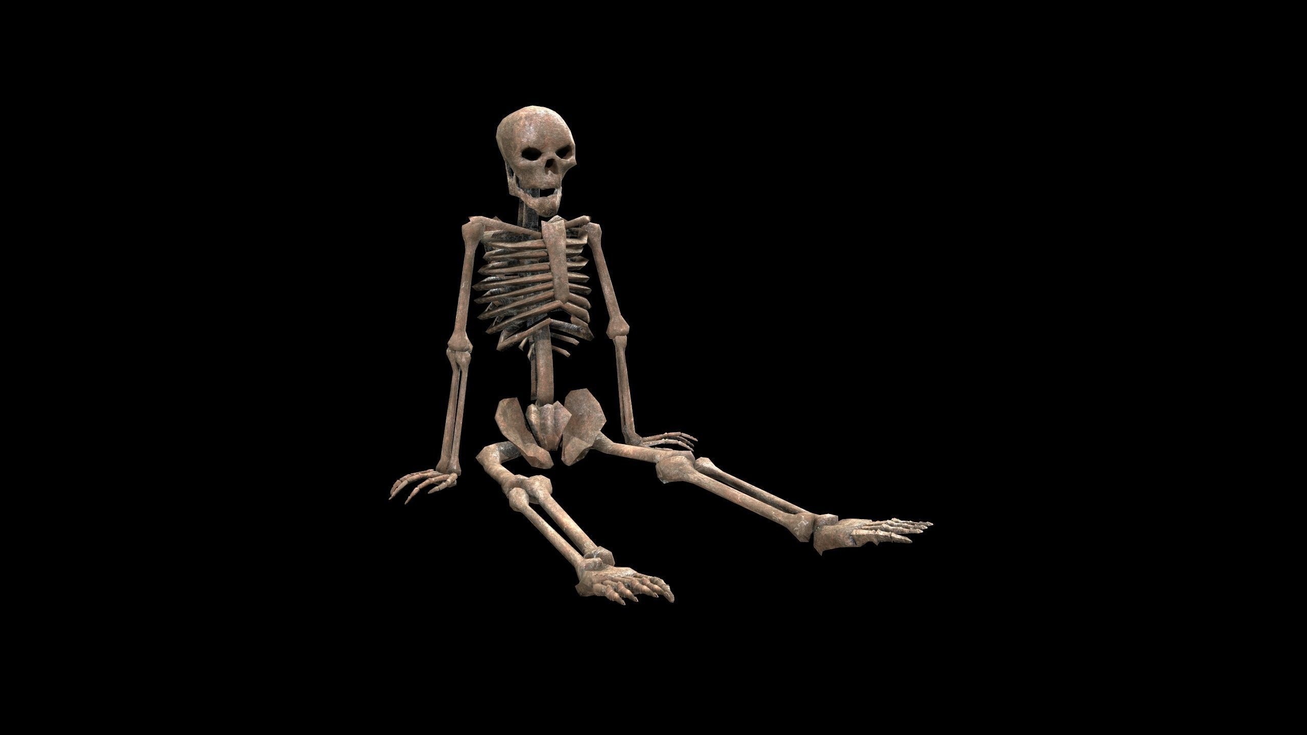 Dead Skeleton - 3 - PBR - Textured Low-poly 3D model_2