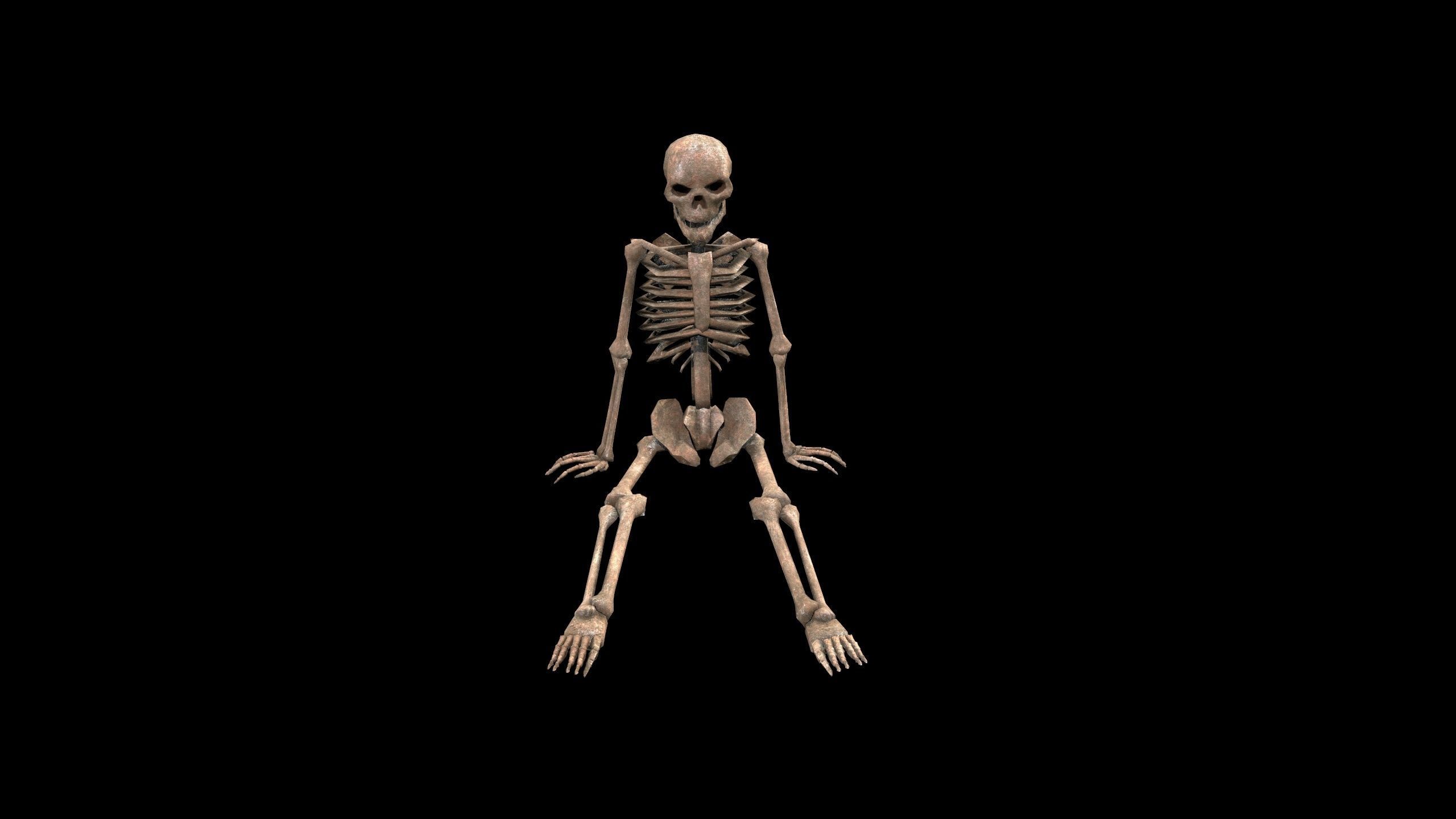 Dead Skeleton - 3 - PBR - Textured Low-poly 3D model_7