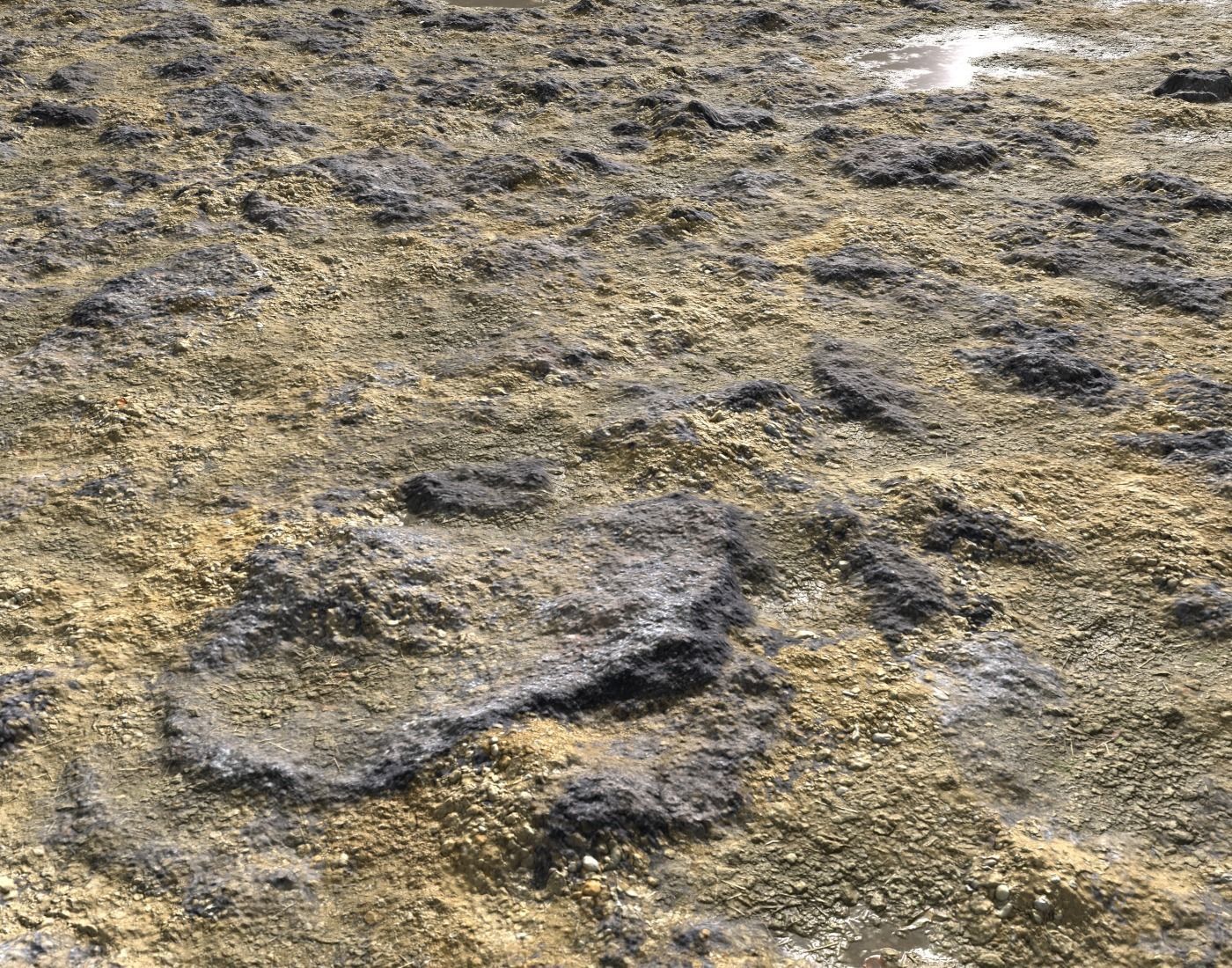 Rocky terrain with puddles PBR Texture_4