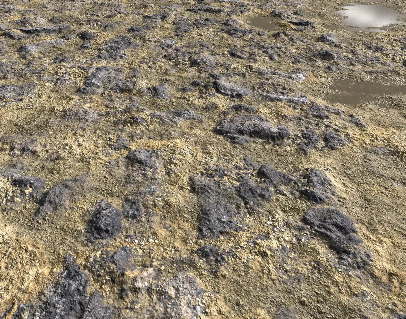 Rocky terrain with puddles PBR Texture_0