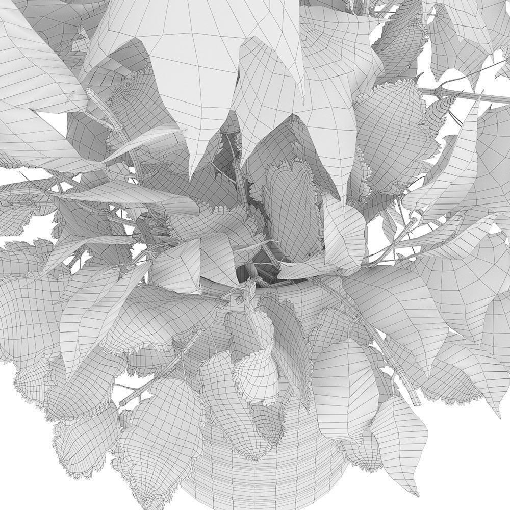 Autumn bouquet 3D model_6