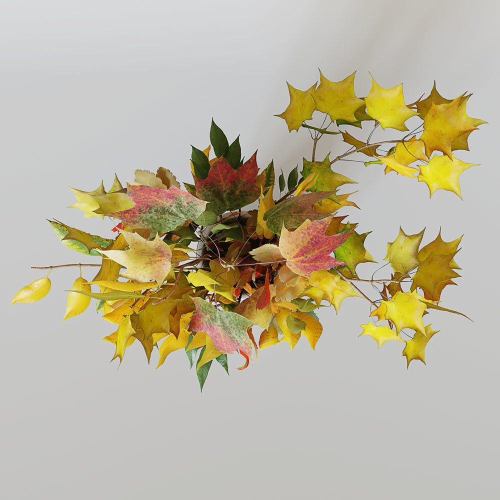 Autumn bouquet 3D model_4