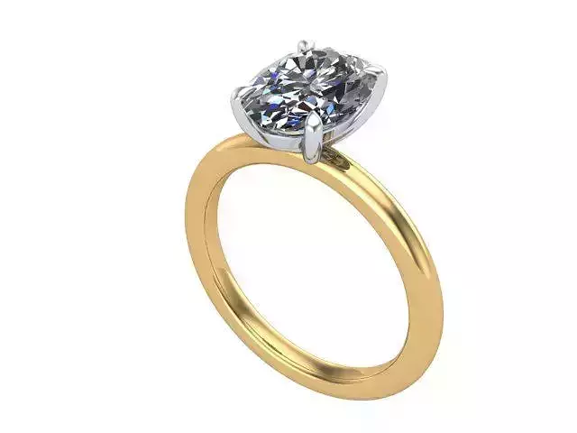 Oval two tone ring 3D print model