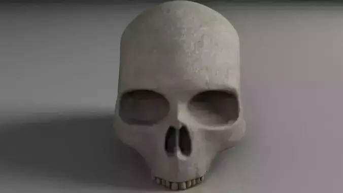 Skull
