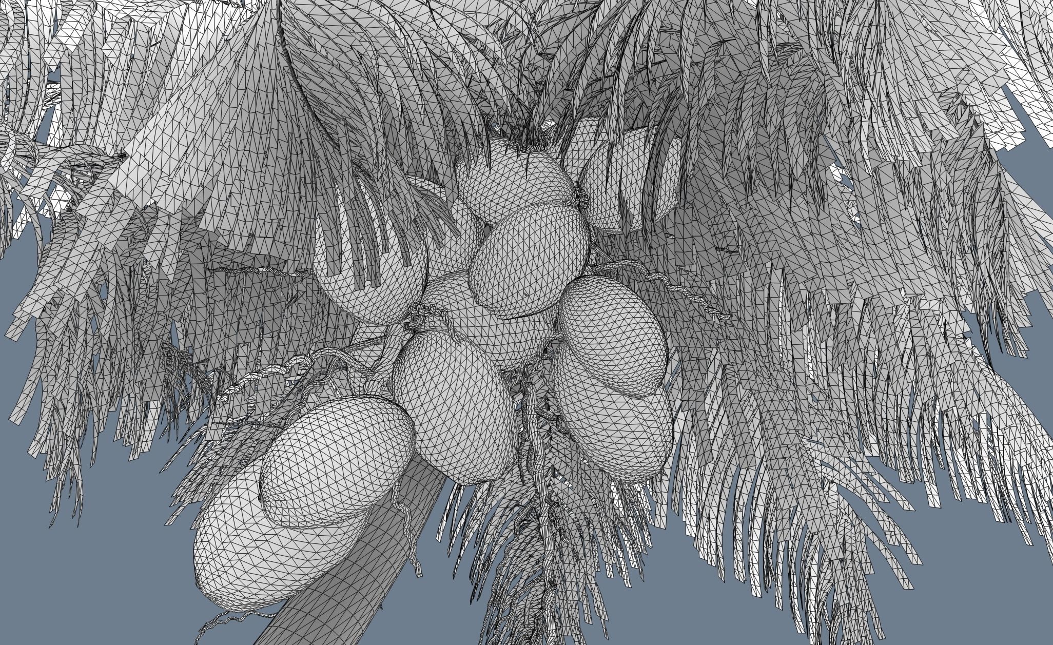 Loop Wind Coconut Palm tree  Free 3D model_5