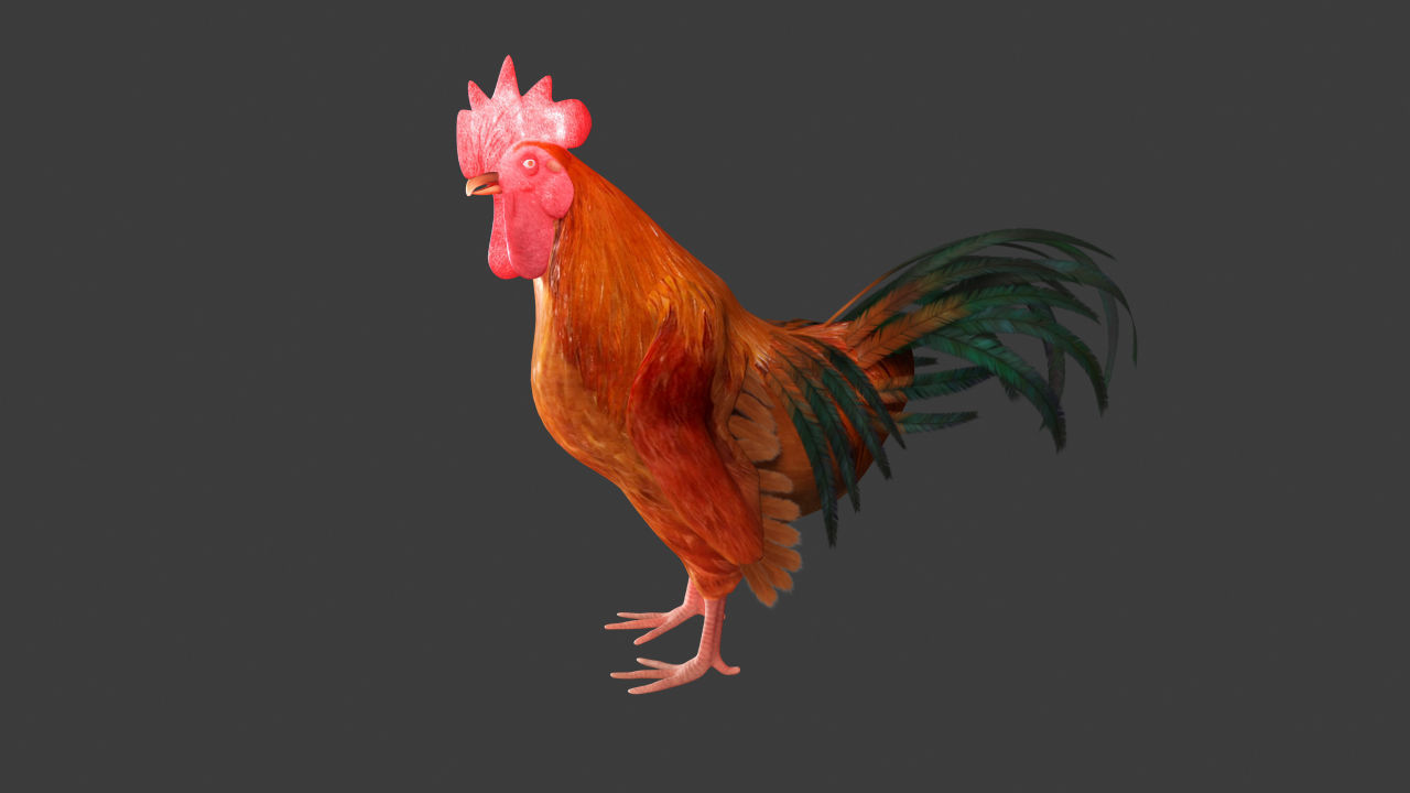 Chicken Rigged 3D model 3D model_2