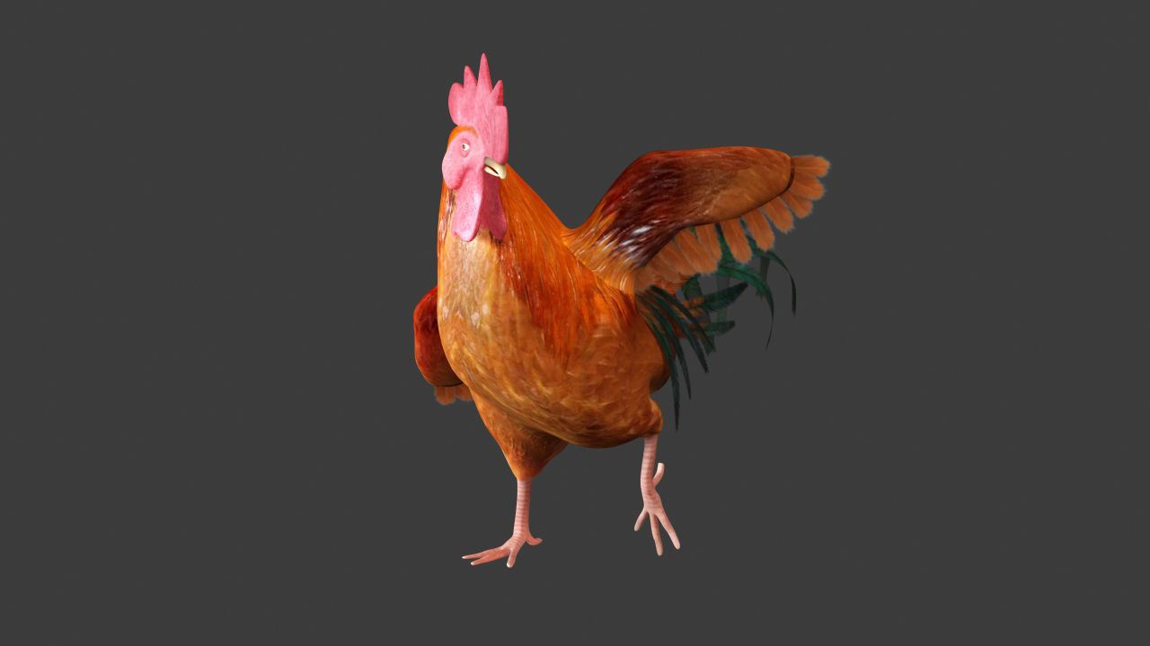 Chicken Rigged 3D model 3D model_3